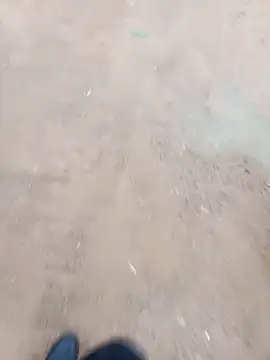 2soyte online show from 01.18.26