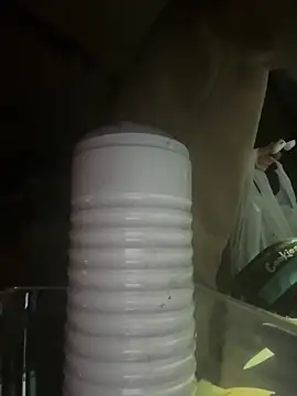 Snapshot of rusharizona chatting on 01.02.25 rusharizona online show from 01.02.25