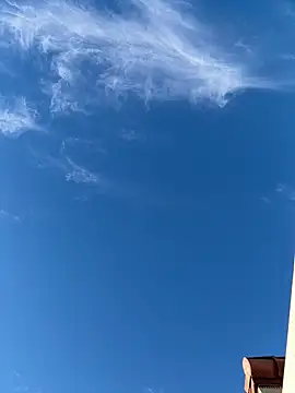 Snapshot of rusharizona chatting on 02.24.25 rusharizona online show from 02.24.25