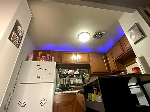 odbodu online show from 10.04.25