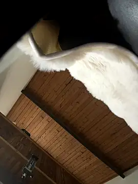 odbodu online show from 11.22.25