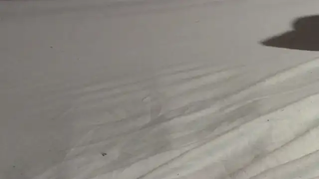 Vandrino online show from 03.15.25