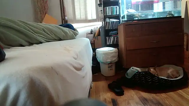 Snapshot of jumpingtomflash chatting on 04.16.26 jumpingtomflash online show from 04.16.26