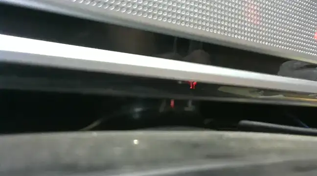 gauchors20 online show from 12.26.24