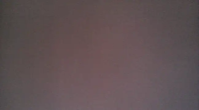 NIRVANA online show from 12.29.24