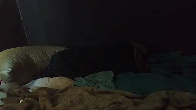 Snapshot of k-dong chatting on 02.01.26 k-dong online show from 02.01.26