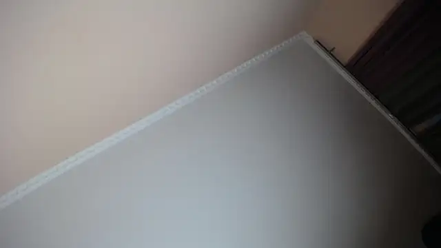 Milka Web online show from 11.29.25