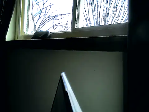 longdick4you8686 online show from 02.12.25