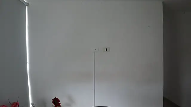 Snapshot of _Vahos_ chatting on 02.14.25 Vahos online show from 02.14.25