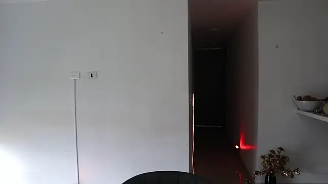 Snapshot of _Vahos_ chatting on 02.24.25 Vahos online show from 02.24.25