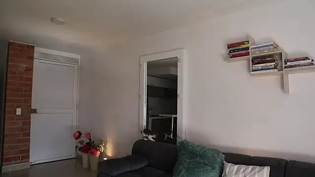 Snapshot of _Vahos_ chatting on 11.28.25 Vahos online show from 11.28.25