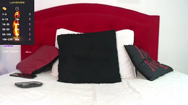 Snapshot of Rouss_Meyers chatting on 03.19.25 Rouss Meyers online show from 03.19.25