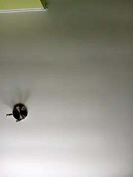 NiceHunter89 online show from 02.20.25