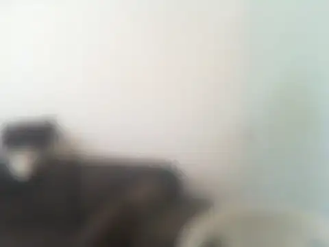 ConradinhoBR50 online show from 04.19.26