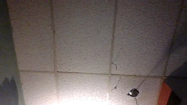 moipipi2 online show from 12.07.24