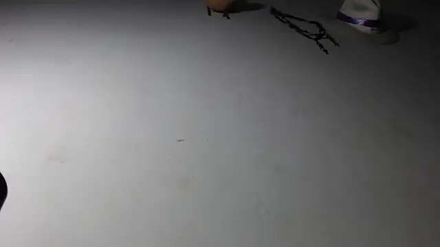 Snapshot of adrixxx38 chatting on 01.17.26 adrixxx38 online show from 01.17.26