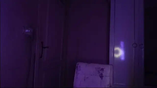 Bullish online show from 01.22.25