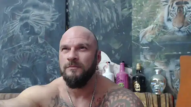 viking 30 online show from 10.14.25