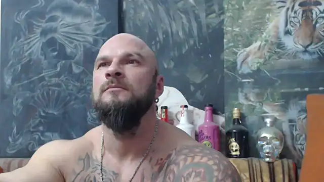 viking 30 online show from 11.10.25