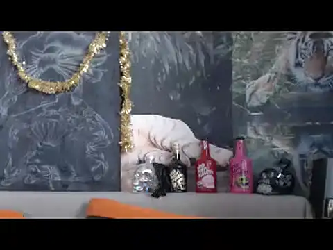 viking 30 online show from 02.20.26