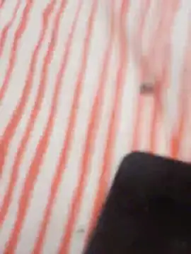 Snapshot of MRbigc23 chatting on 05.31.26 MRbigc23 online show from 05.31.26