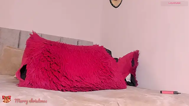 Snapshot of aydan_hw chatting on 12.30.24 aydan hw online show from 12.30.24