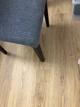 Mindnorthcam2 online show from 12.25.24