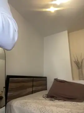 Snapshot of LalieFR chatting on 11.30.25 LalieFR online show from 11.30.25