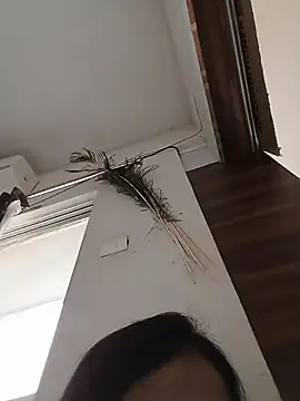 Snapshot of Manjushri35 chatting on 02.14.25 Manjushri35 online show from 02.14.25