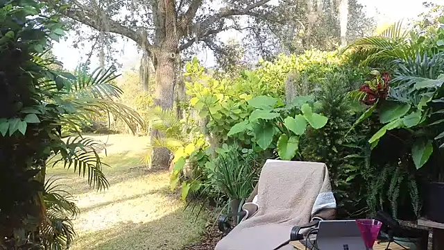 eliberator1777 online show from 01.31.25