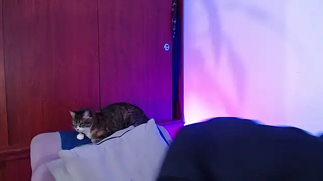 Raventh  online show from 03.14.26