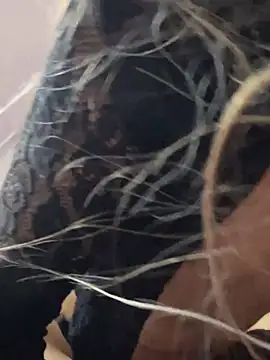 Snapshot of Littlebunny21 chatting on 12.15.24 Littlebunny21 online show from 12.15.24