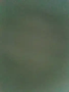 dreamtoungelick69 online show from 07.25.26