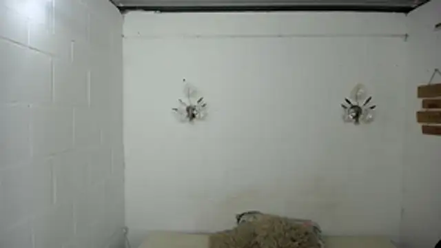 SexyKataShow online show from 07.05.26