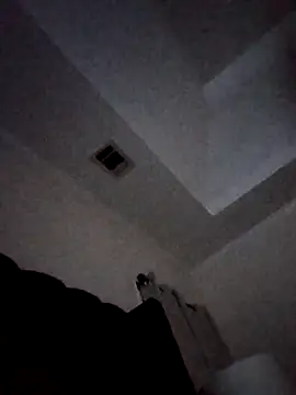 Snapshot of PrinceNoAlbert chatting on 11.27.25 PrinceNoAlbert online show from 11.27.25