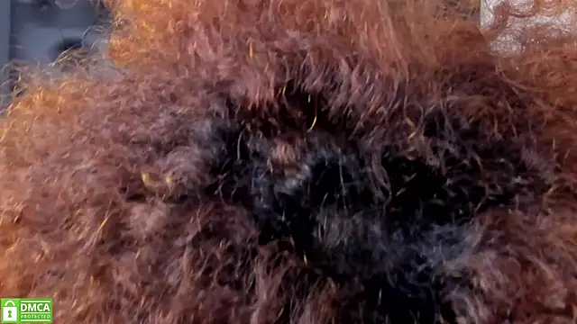 Alika Shanty online show from 03.20.26