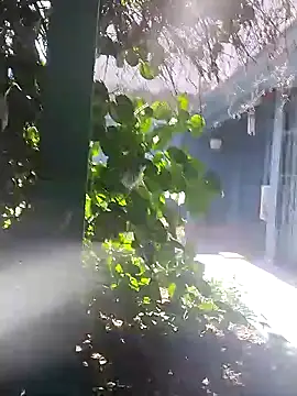 sofy alone online show from 01.02.25