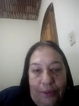 catdool online show from 04.17.26