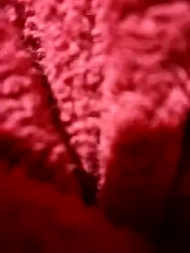 modelo38528061 online show from 12.14.24