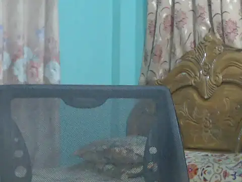 NancyRuvi online show from 09.09.25