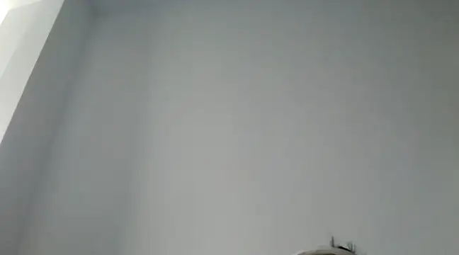 FallenDevil online show from 12.29.24