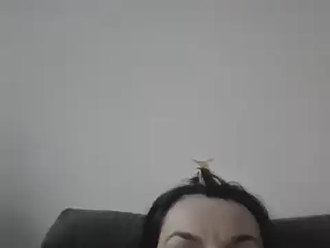 FallenDevil online show from 03.07.25