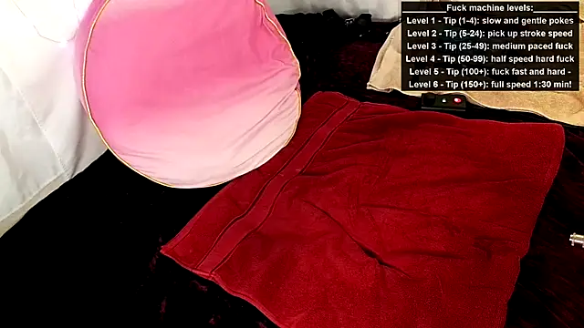 Snapshot of GamerGirlRoxyAndLee chatting on 06.15.26 GamerGirlRoxyAndLee online show from 06.15.26