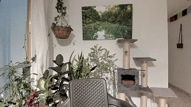 Snapshot of sexnherbs chatting on 02.11.26 sexnherbs online show from 02.11.26