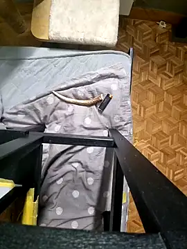 Snapshot of Bob666demon chatting on 03.01.26 Bob666demon online show from 03.01.26