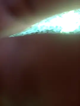 Snapshot of FinableKnee chatting on 09.24.25 FinableKnee online show from 09.24.25