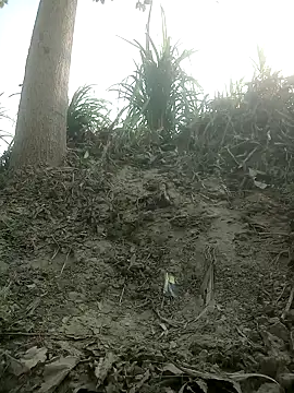 Snapshot of FinableKnee chatting on 10.15.25 FinableKnee online show from 10.15.25