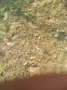 Snapshot of FinableKnee chatting on 10.27.25 FinableKnee online show from 10.27.25