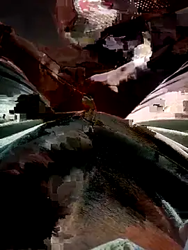 Snapshot of FinableKnee chatting on 11.17.25 FinableKnee online show from 11.17.25