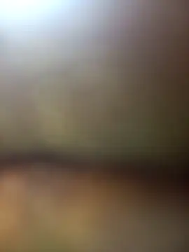 Snapshot of FinableKnee chatting on 11.27.25 FinableKnee online show from 11.27.25